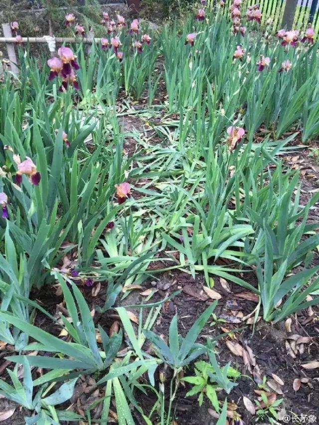 ​圖片來源：今日頭條