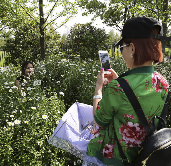圖片來源：澎湃新聞