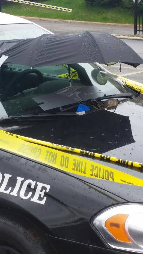 圖片來源：City of Parma