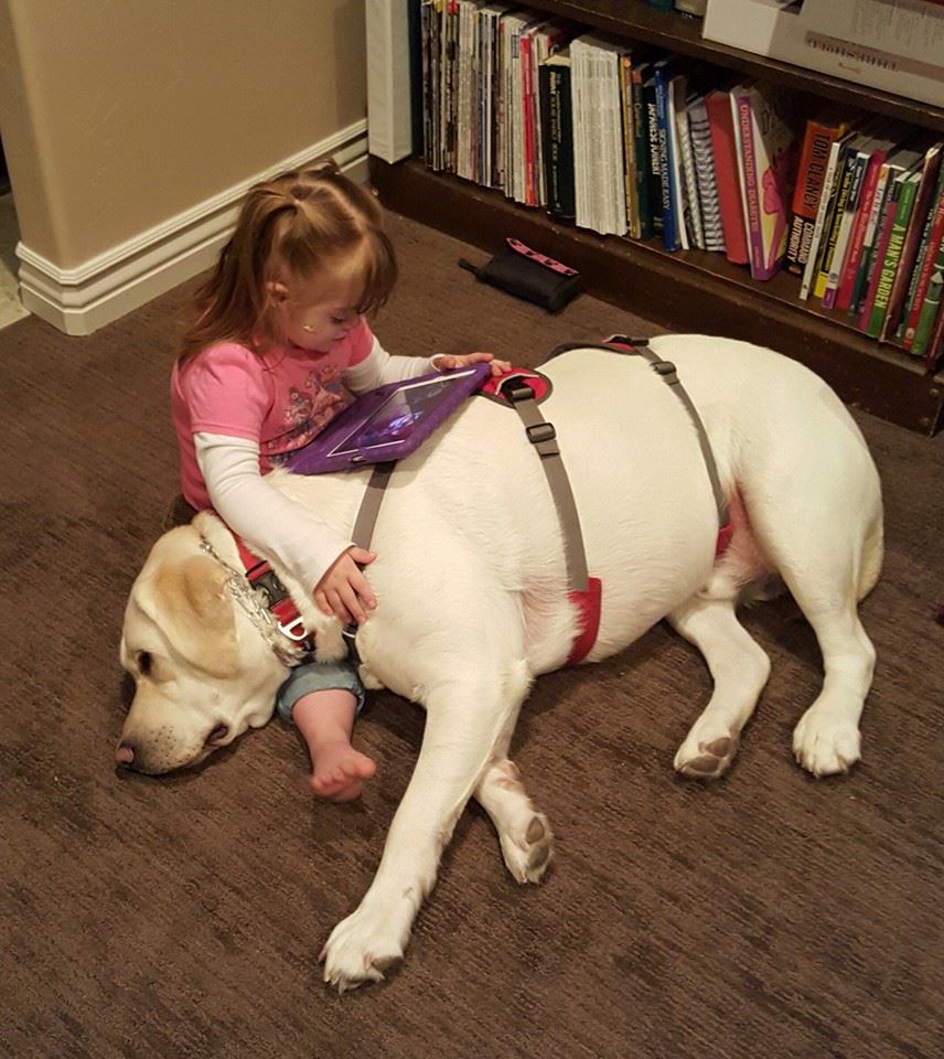 圖片來源:SadiesHero