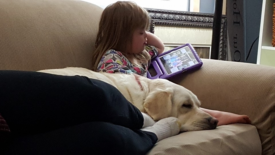 圖片來源:SadiesHero