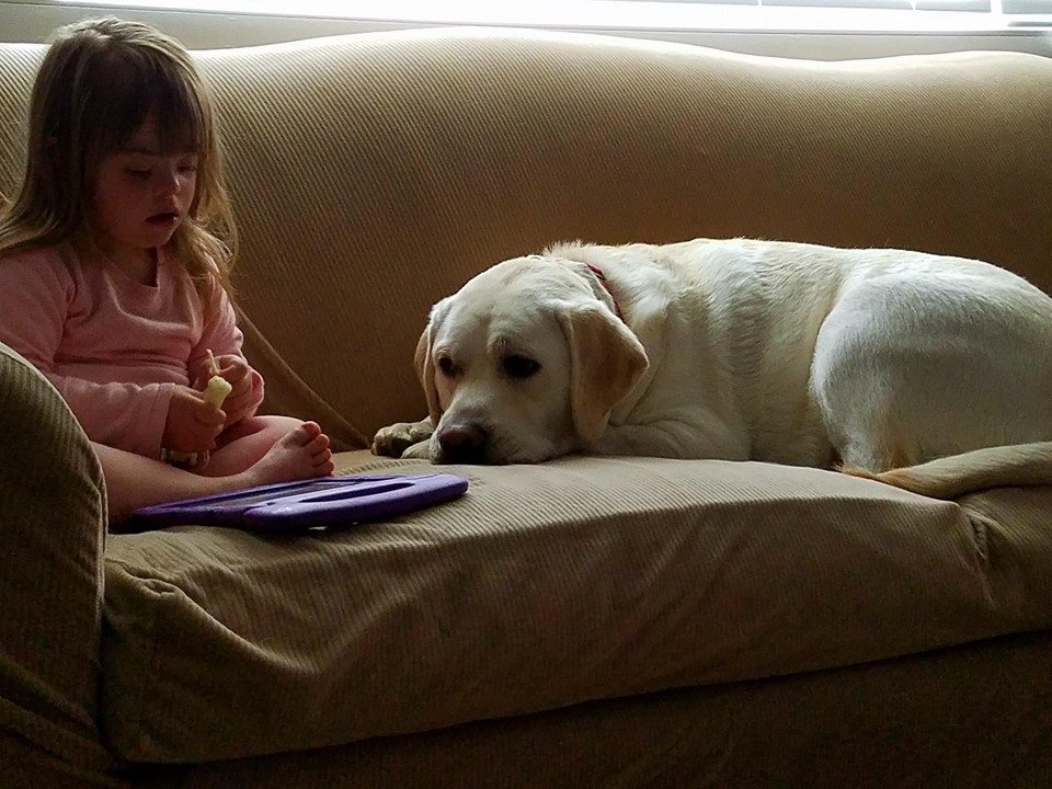 圖片來源:SadiesHero