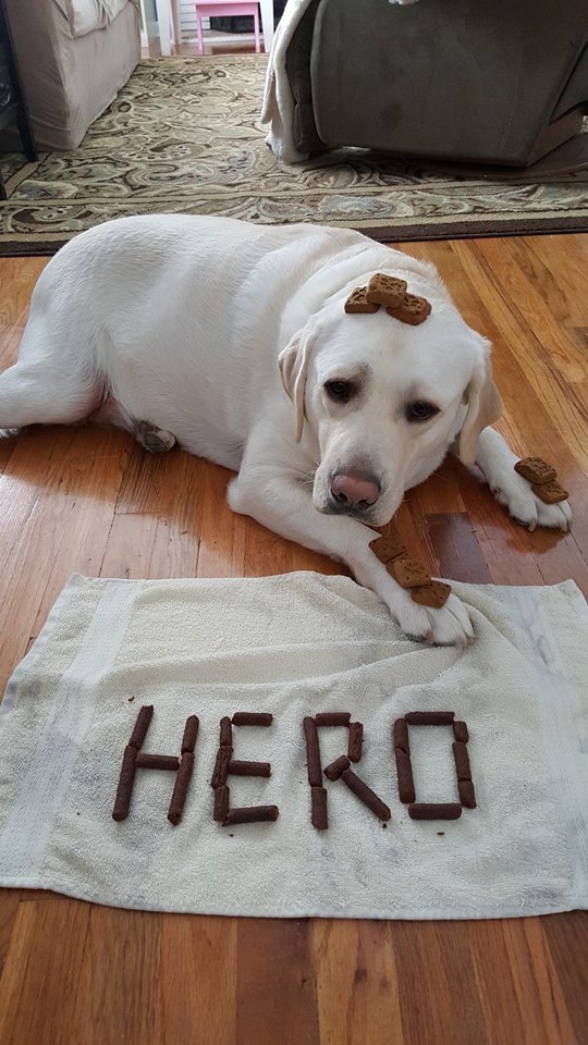 圖片來源:SadiesHero