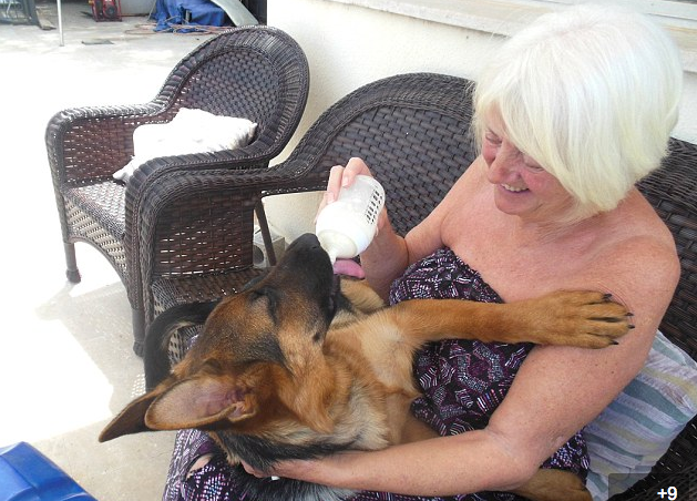 圖片來源：dailymail