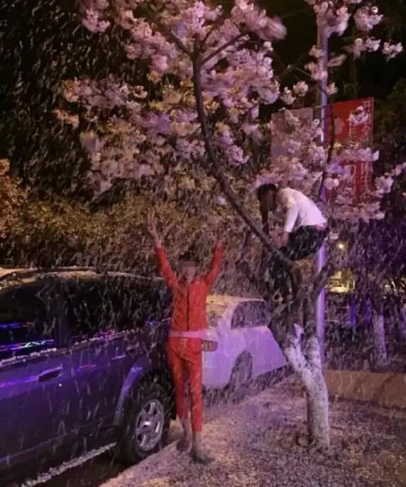 圖片來源：大遼網