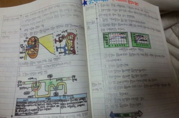 圖片來源：naver