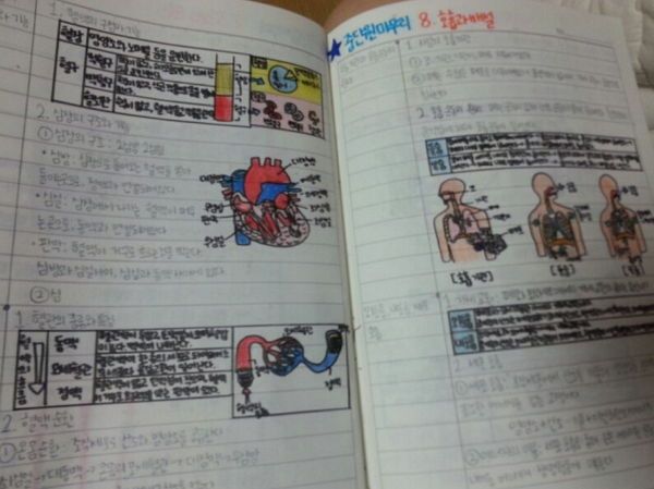 圖片來源：naver