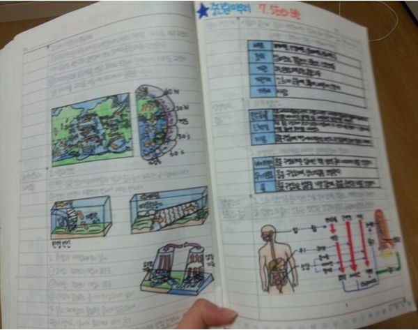 圖片來源：naver