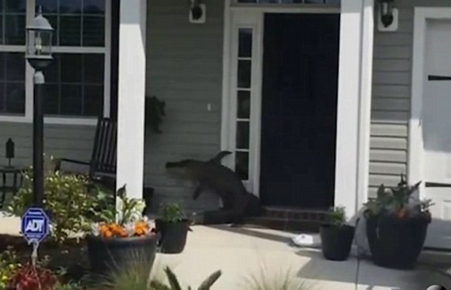 圖片來源：Daily Mail