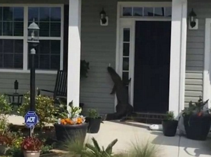 圖片來源：Daily Mail