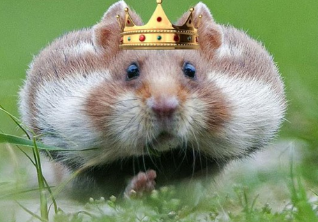 圖片來源：bustle