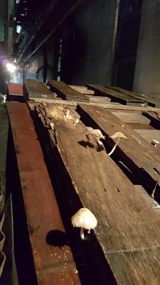 圖片來源：Yen Lau Wing Yan/小心駕駛(討論別人駕駛態度)