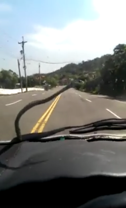 圖片來源：Yu Fey