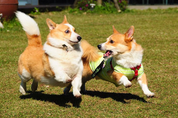 圖片來源:lowelowe.pixnet