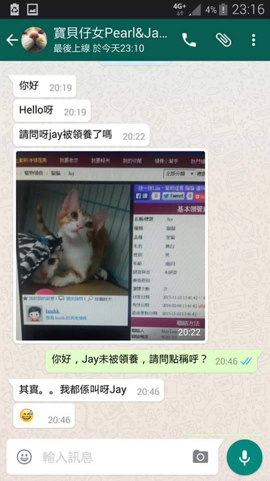 圖片來源:天下貓貓一樣貓