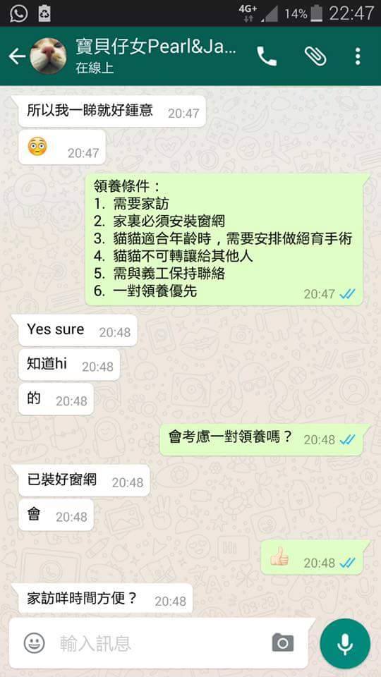 圖片來源:天下貓貓一樣貓