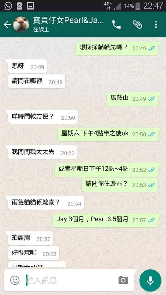 圖片來源:天下貓貓一樣貓