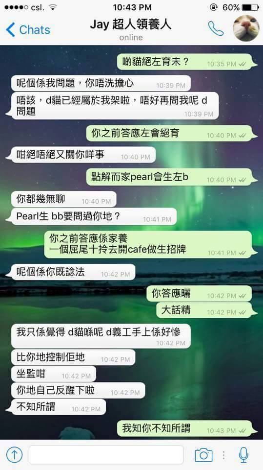 圖片來源:天下貓貓一樣貓