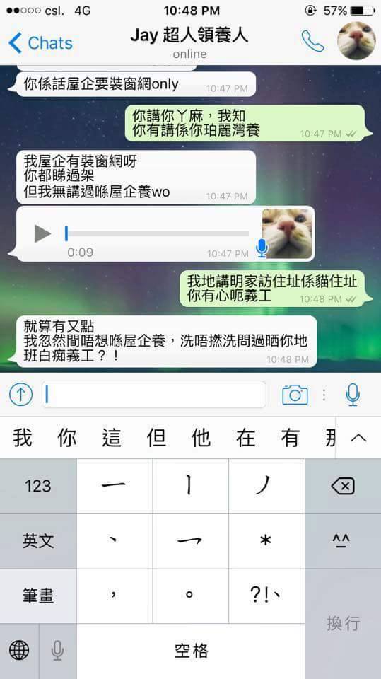 圖片來源:天下貓貓一樣貓