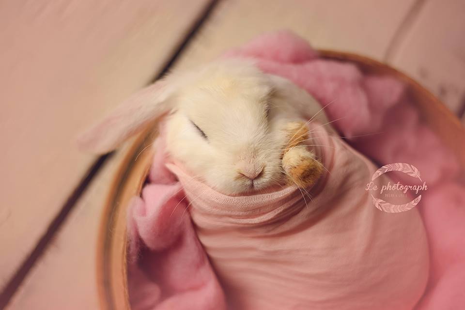 圖片來源：LePhotograph