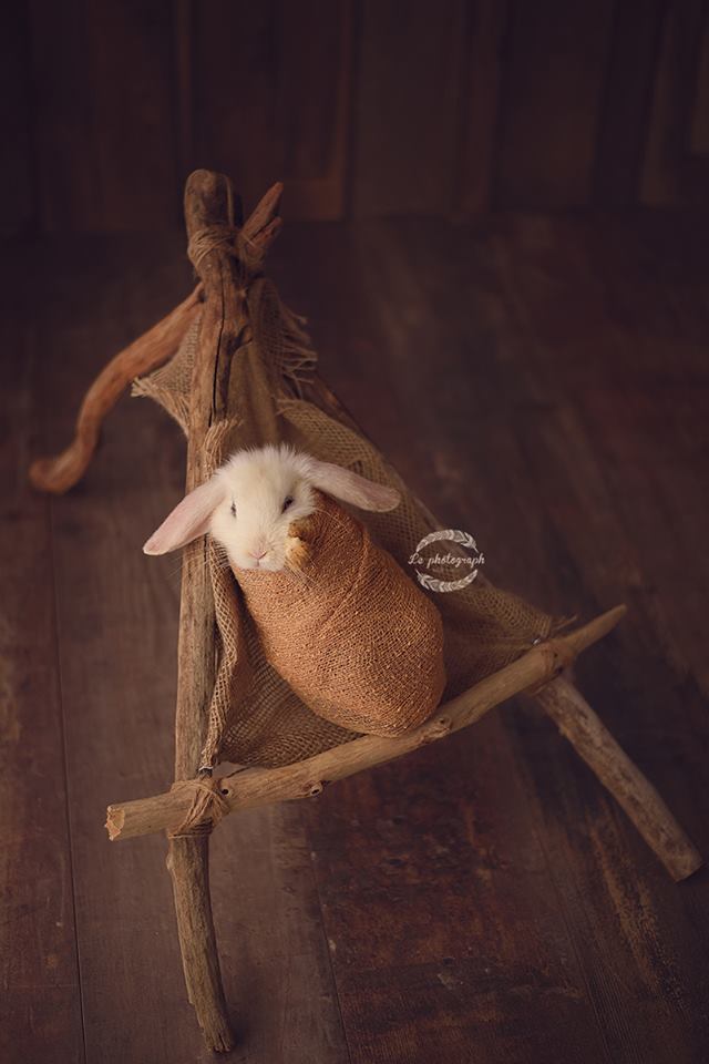 圖片來源：LePhotograph