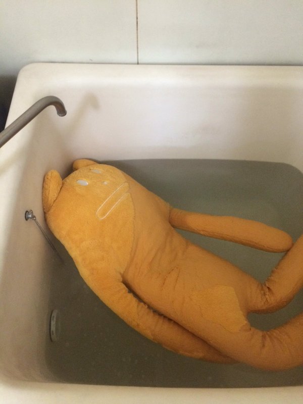 圖片來源:ayanami1029