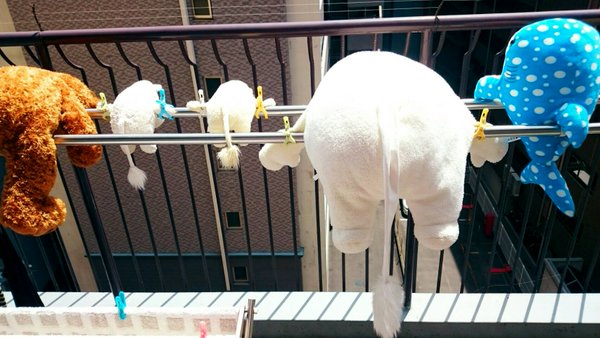 圖片來源:sayacchan21