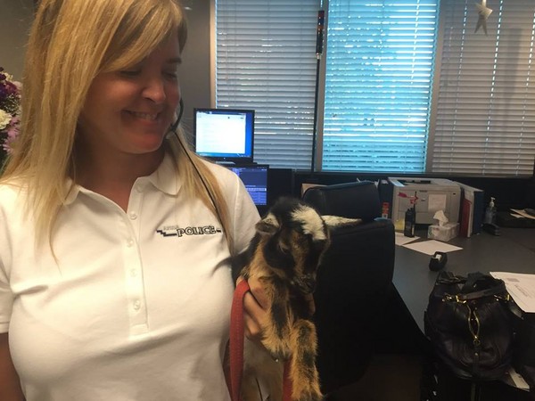 圖片來源:Azusa Police Department