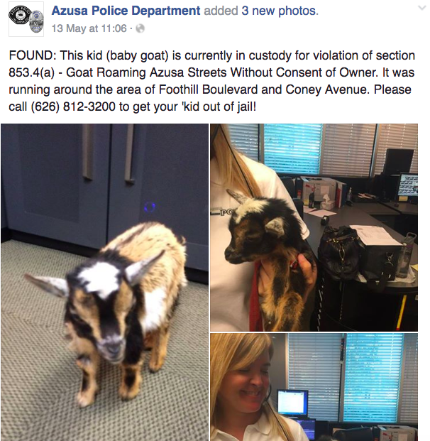 圖片來源:Azusa Police Department