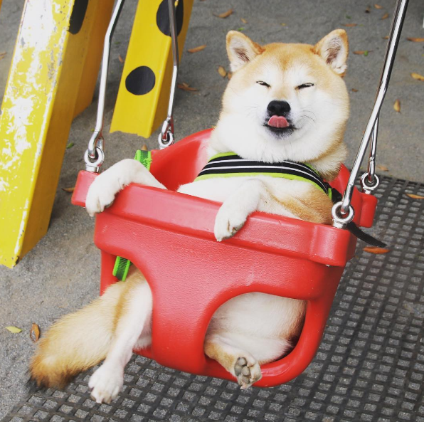 圖片來源:unihalo/instagram