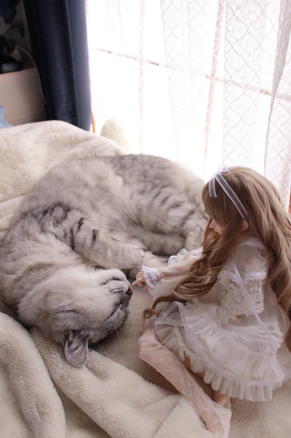 圖片來源：itm_nlab/twitter