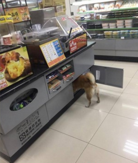 圖片來源：陳祐