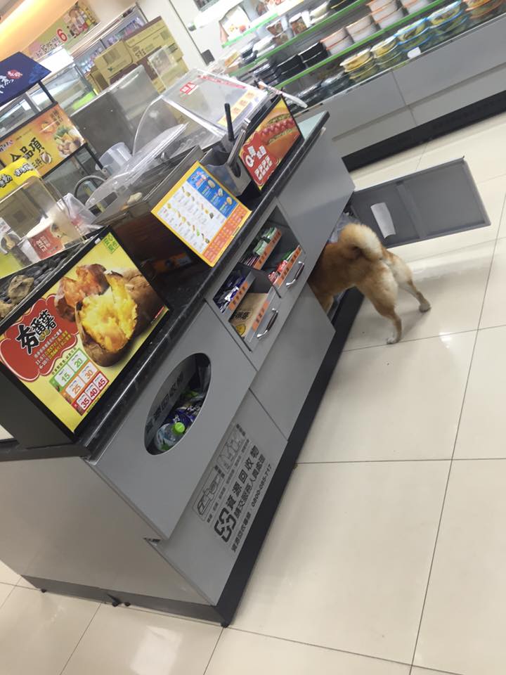 圖片來源：陳祐