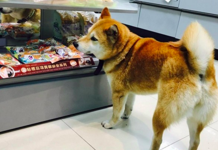 圖片來源：Jeannie Cheng