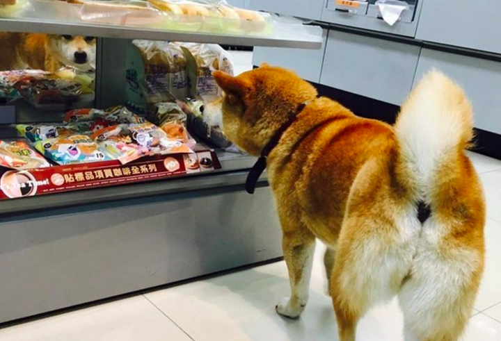 圖片來源：Jeannie Cheng