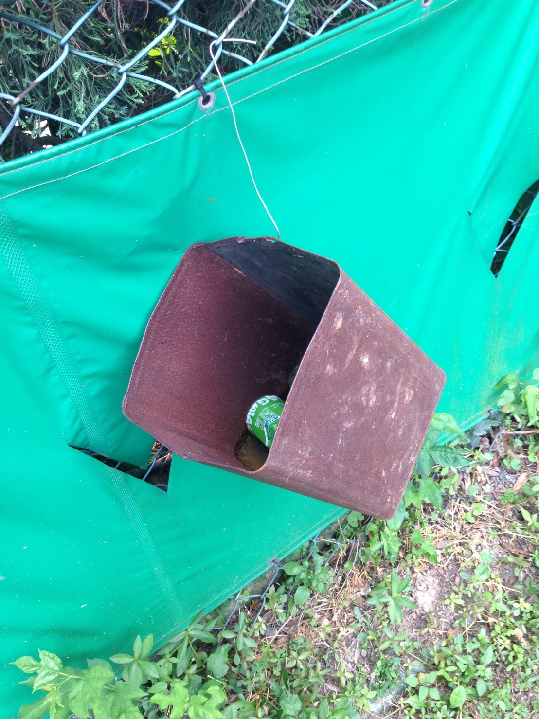 圖片來源:raigochi/PTT