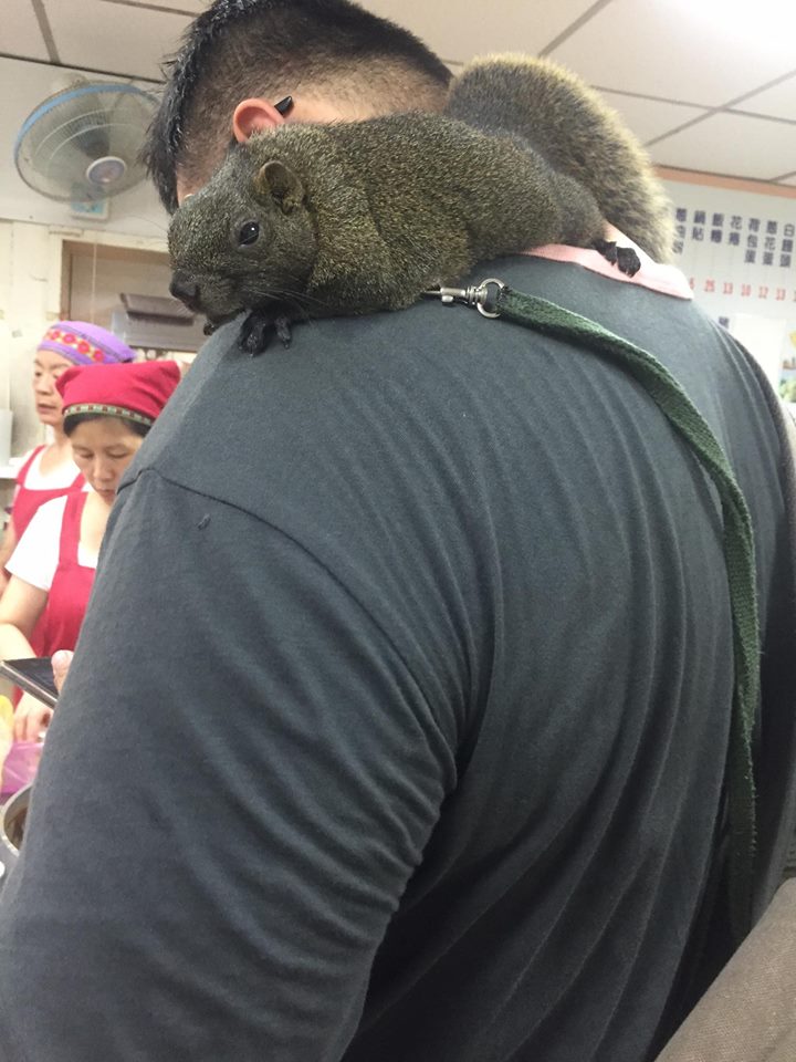 圖片來源：‎James Lee‎ 