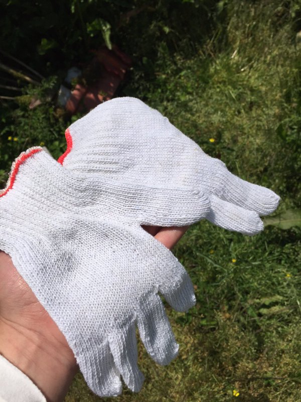 圖片來源：24mlng／twitter