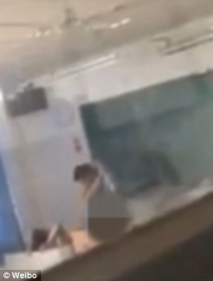 圖片來源：金轮法王新号