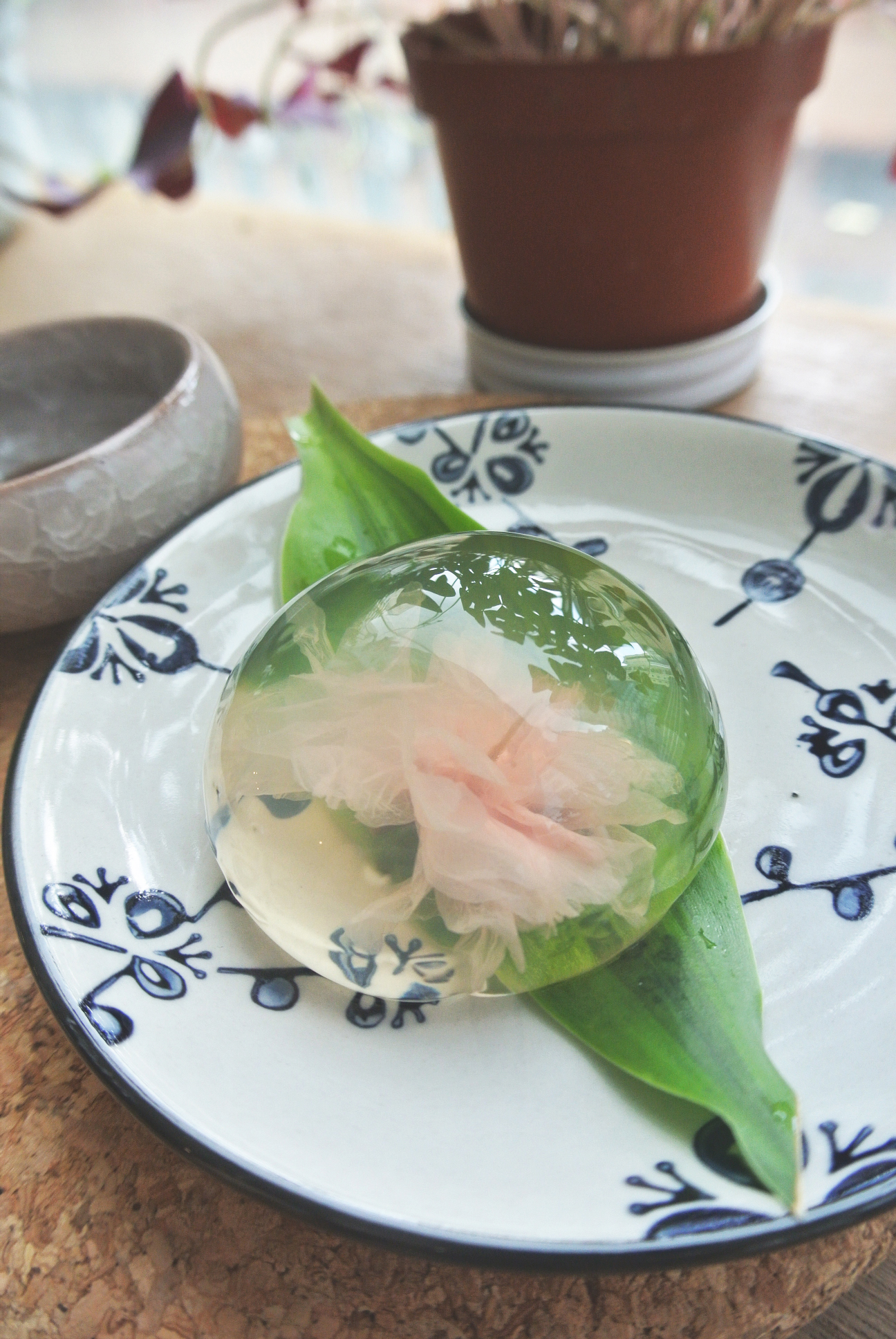 圖片來源：毛毛