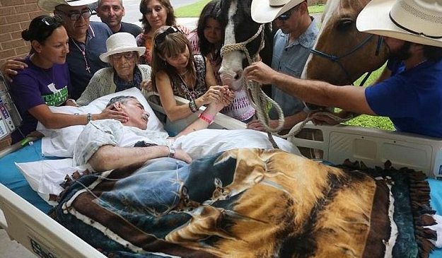 圖片來源:Daily Mail