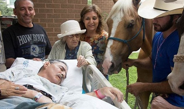 圖片來源:Daily Mail