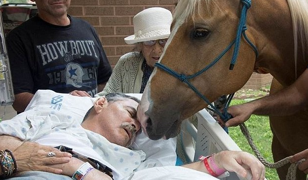 圖片來源:Daily Mail