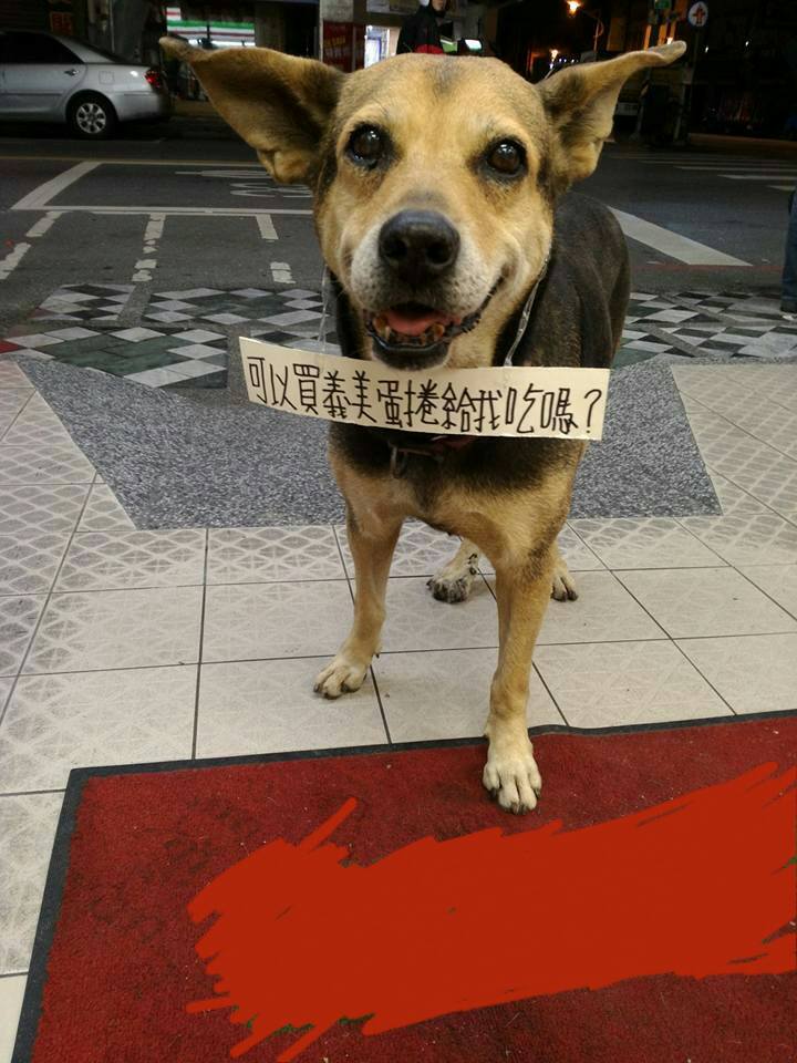 圖片來源:張伊妹/●【爆廢公社】●