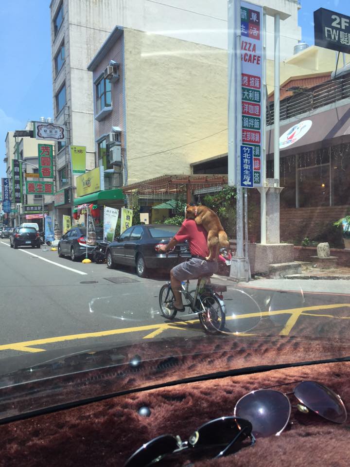 圖片來源:洪文彬