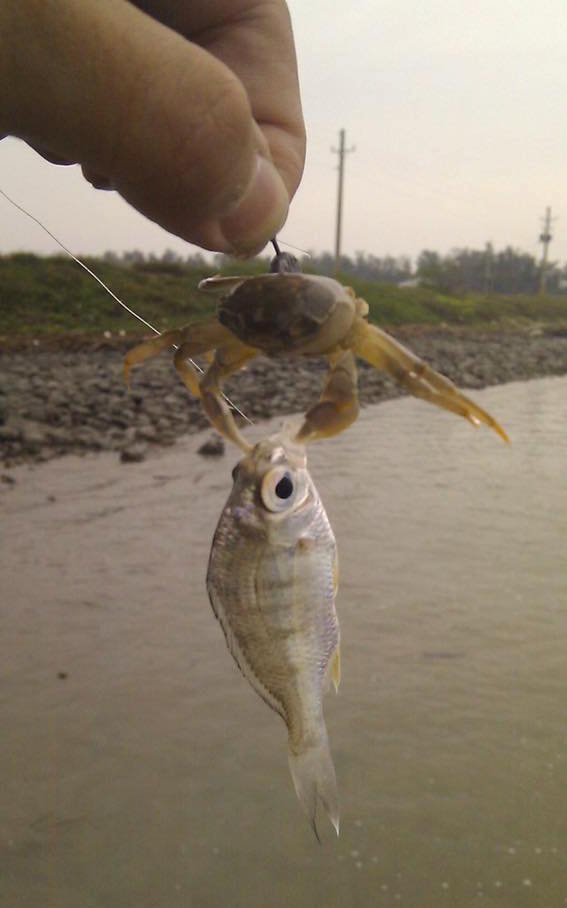 圖片來源:方嘉祥