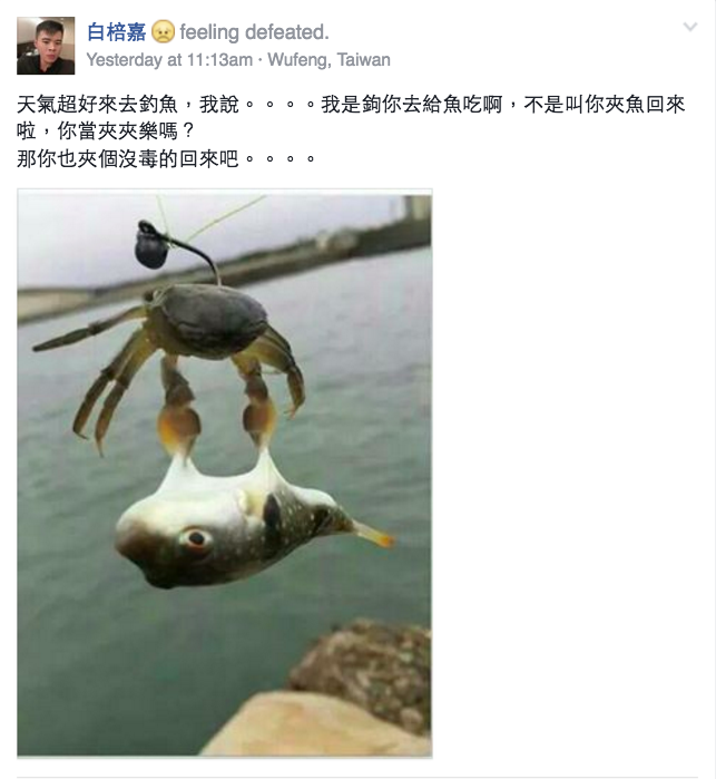 圖片來源:白棓嘉