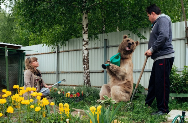 圖片來源:dailymail