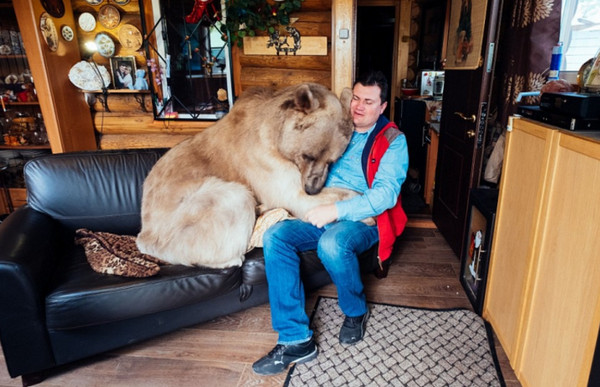 圖片來源:dailymail