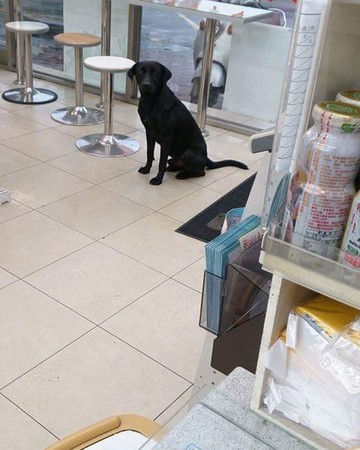 圖片來源： 爆廢公社